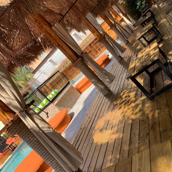 Meet your Posher, Tina - Picture 2 of 8